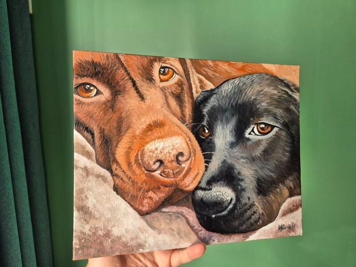 Black & Chocolate Labrador - oil painting