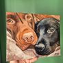 Black & Chocolate Labrador - oil painting Image 7