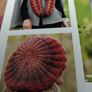 Hat & snood Image 3