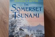 The Somerset Tsunami by Emma Carroll