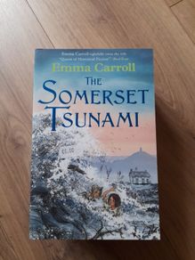The Somerset Tsunami by Emma Carroll