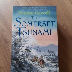 The Somerset Tsunami by Emma Carroll