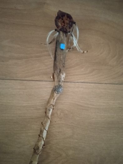 Wand