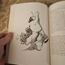 Illustrissimi. The Letters Of Pope John Paul 1. By Albino Luciani. Preface By Cardinal Hume. Illustrated By Papas. Large Volume Hardback With Dustjacket In Good Condition.  See Photos For Same. Image 10