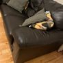 Two seater black leather couch for sale. Basically never used. Same condition as new. Image 2