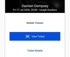 Damien Dempsey Iveagh Gardens 17/7