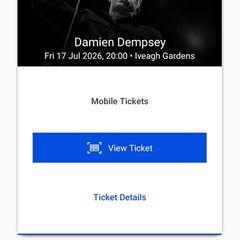 Damien Dempsey Iveagh Gardens 17/7
