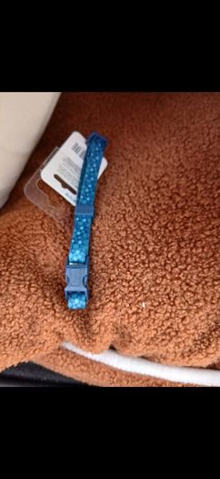 brand new cat bed and collar