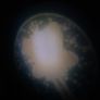 Night light projecting a fairy Image 5