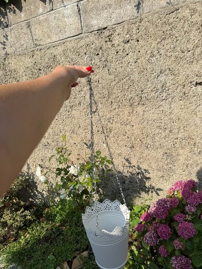 Hanging basket