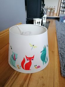 Ceiling light shade