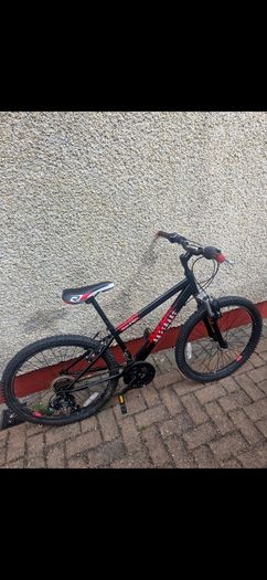 Raleigh bike