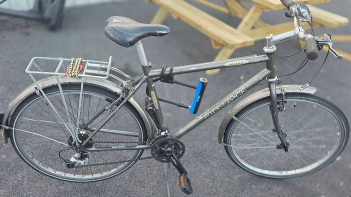 Ridgeback Speed City / Hybrid Bike