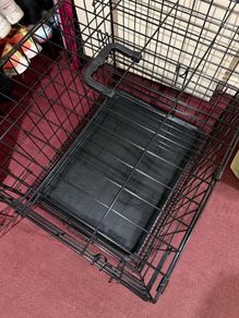 Dog cage - need gone asap