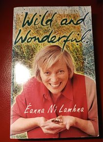 Eanna Ni Lamhna / Wild & Wonderful/ 2004