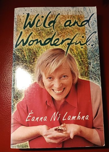 Eanna Ni Lamhna / Wild & Wonderful/ 2004