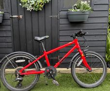 Frog 55 bike