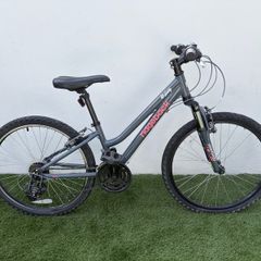 Ridgeback Destiny bike 24 inch