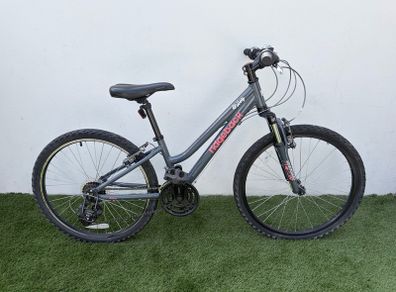 Ridgeback Destiny bike 24 inch