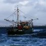 Boat Mfv Image 10