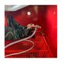 Sandblasting Cabinet - Pacini - SBC220LED Image 3