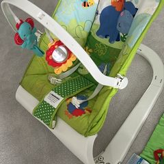 Fisher Price Bouncer and Playmat