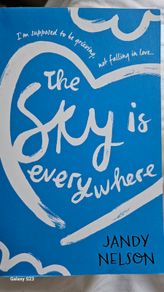 The Sky Is Everywhere by Jandy Nelson.
