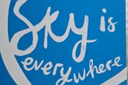 The Sky Is Everywhere by Jandy Nelson.