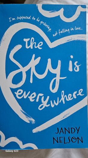 The Sky Is Everywhere by Jandy Nelson.