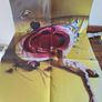 Harry Styles  - Fine Line - (2 x LP) Image 3