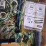 BGA Timing chain kit for Renault traffic Image 2