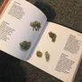 book Image 3