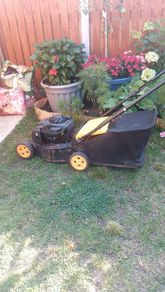 lawnmower