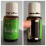 Asst. Essential Oils Image 3