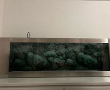 Shallow Fish Tank