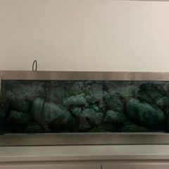 Shallow Fish Tank