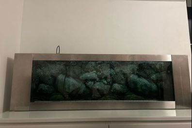 Shallow Fish Tank