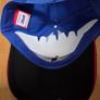 Team IWR Cummings racing baseball hat Image 3