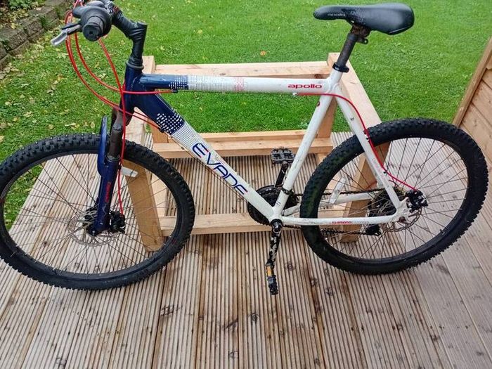 adults bike