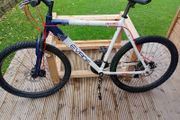 adults bike