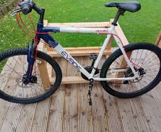 adults bike