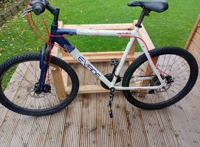 adults bike