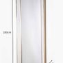 Champagne Leaning Mirror Image 3