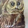 Vintage Original Owl Watercolour Professionally Framed 1970s Image 4