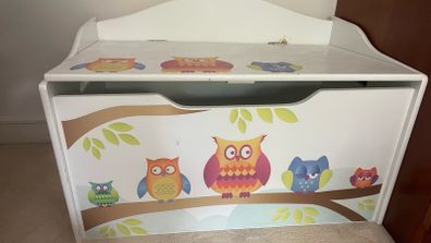 kids chest and locker set