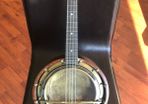 Vintage belltone banjolin