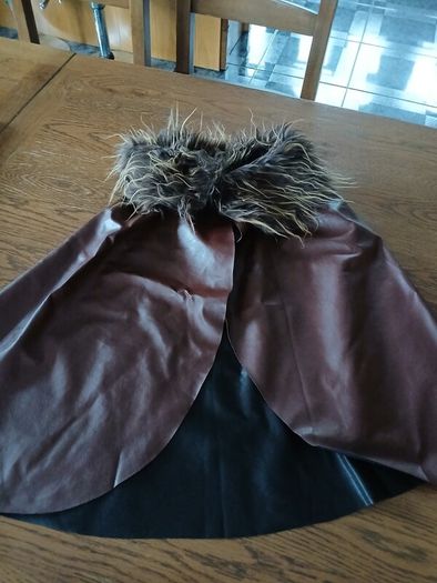 Halloween/fancy dress costume