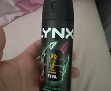 6 brand new lynx World Cup Africa
