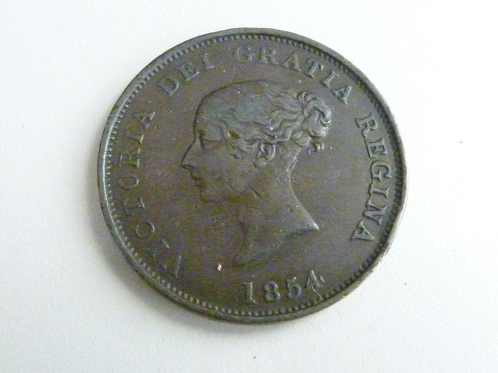 New Brunswick penny