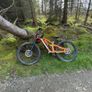 Trek Slash 9.8 xt Image 2